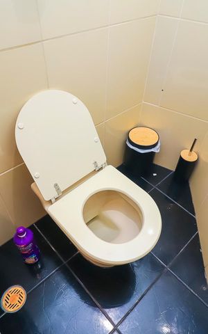 Casa para alugar com 250m², 4 quartos e 2 vagasLavabo