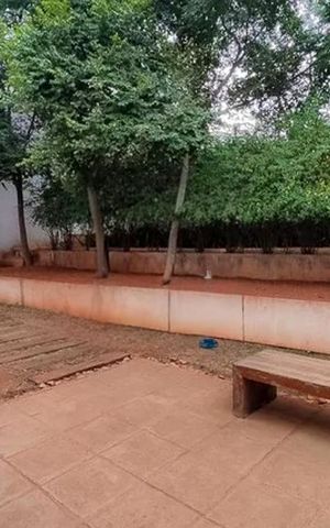 Apartamento para alugar com 62m², 2 quartos e 1 vaga Apartamento para alugar com 62m², 2 quartos e 1 vagaPet Place
