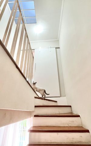Casa à venda com 180m², 3 quartos e 4 vagas Casa à venda com 180m², 3 quartos e 4 vagasEscada