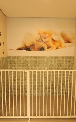 Apartamento à venda com 34m², 2 quartos e sem vagaÁrea comum - Pet Care