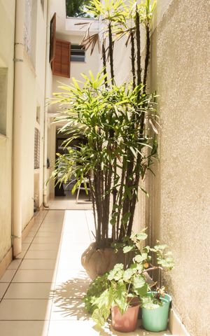 Casa à venda com 163m², 3 quartos e 2 vagasAcesso lateral