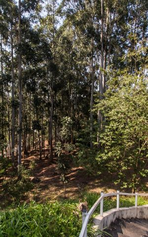 Apartamento para alugar com 116m², 3 quartos e 2 vagasÁrea comum
