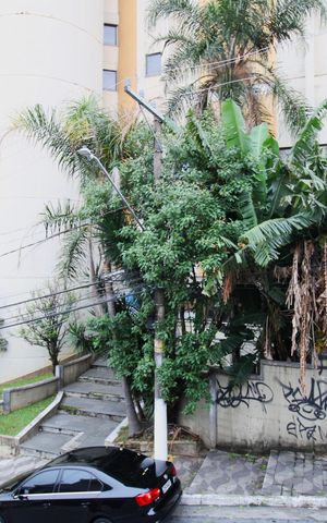 Studio para alugar com 25m², 1 quarto e sem vagaVista da Área comum
