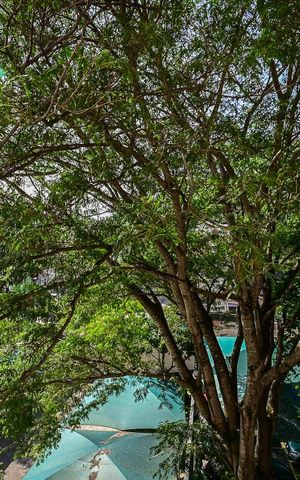 Apartamento à venda com 40m², 2 quartos e 1 vagaVista do Quarto 1