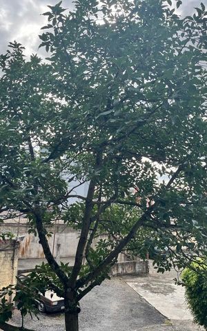 Apartamento para alugar com 53m², 2 quartos e 1 vaga