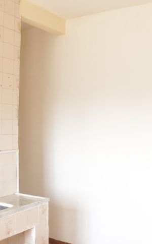 Apartamento para alugar com 50m², 2 quartos e sem vagaCozinha