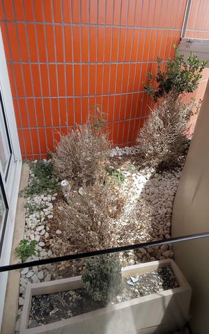 Apartamento à venda com 272m², 4 quartos e 3 vagas Apartamento à venda com 272m², 4 quartos e 3 vagasJardim