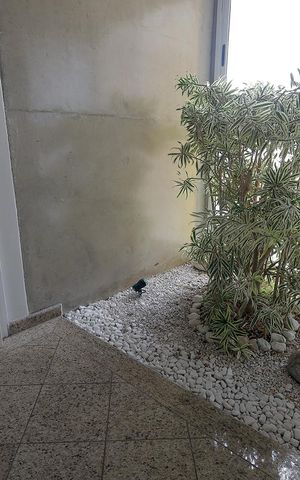 Apartamento à venda com 272m², 4 quartos e 3 vagas Apartamento à venda com 272m², 4 quartos e 3 vagasSala