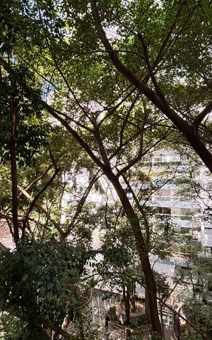 Apartamento para alugar com 36m², 1 quarto e 1 vaga Apartamento para alugar com 36m², 1 quarto e 1 vagaVista