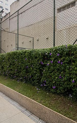 Apartamento à venda com 51m², 2 quartos e 1 vaga Apartamento à venda com 51m², 2 quartos e 1 vagaÁrea comum