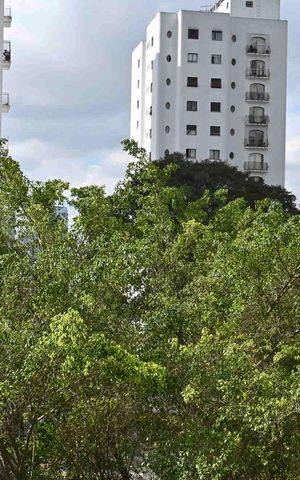 Apartamento para alugar com 198m², 4 quartos e 3 vagasVista