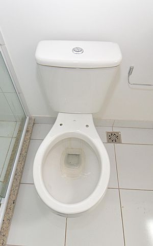 Apartamento à venda com 65m², 3 quartos e 1 vagaBanheiro da Suíte