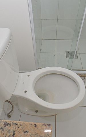 Apartamento à venda com 65m², 3 quartos e 1 vagaBanheiro Social