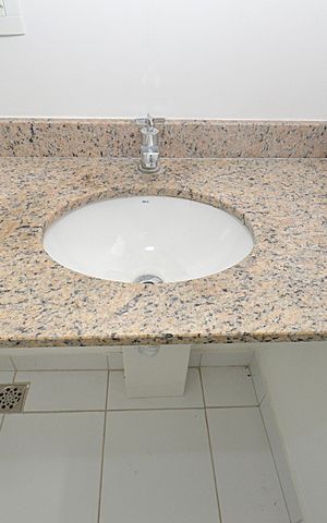 Apartamento à venda com 65m², 3 quartos e 1 vagaBanheiro da Suíte