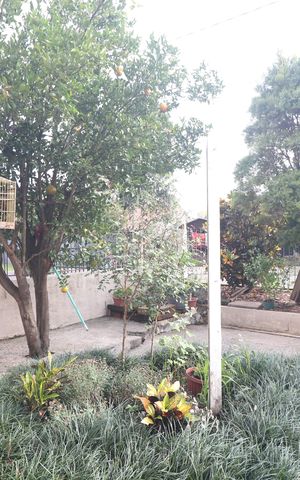 Casa à venda com 204m², 3 quartos e 2 vagasJardim