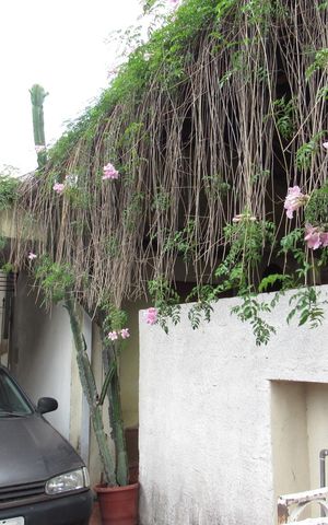 Casa à venda com 300m², 1 quarto e 3 vagasFachada