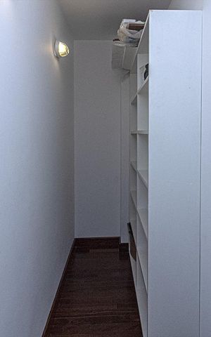 Apartamento para alugar com 256m², 2 quartos e 4 vagas Apartamento para alugar com 256m², 2 quartos e 4 vagasCloset da suíte 3