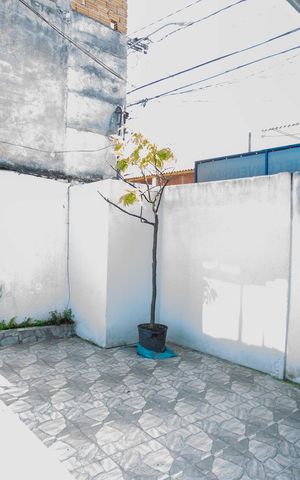 Casa à venda com 147m², 5 quartos e 3 vagasQuintal