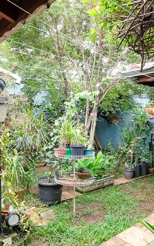 Casa à venda com 304m², 3 quartos e 4 vagasQuintal e garagem