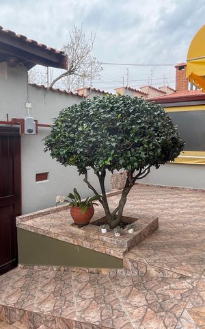 Casa à venda com 293m², 3 quartos e 5 vagas Casa à venda com 293m², 3 quartos e 5 vagasQuintal