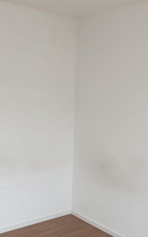 Apartamento para alugar com 42m², 2 quartos e sem vagaQuarto 2