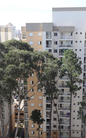 Apartamento para alugar com 75m², 3 quartos e 2 vagasVista do quarto 3