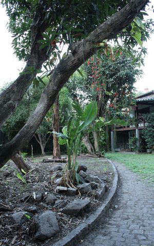 Casa à venda com 500m², 3 quartos e sem vaga