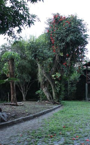Casa à venda com 500m², 3 quartos e sem vaga
