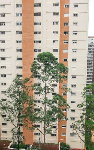 Apartamento à venda com 138m², 3 quartos e 2 vagasVista da Área de Serviço