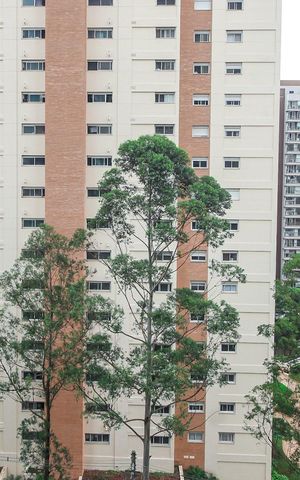Apartamento à venda com 138m², 3 quartos e 2 vagasVista da Varanda da Sala