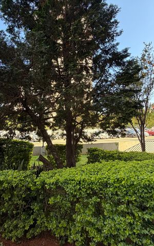 Apartamento para alugar com 76m², 3 quartos e 1 vagaÁrea comum