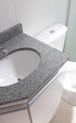 Apartamento para alugar com 60m², 2 quartos e 1 vagaBanheiro da Suíte