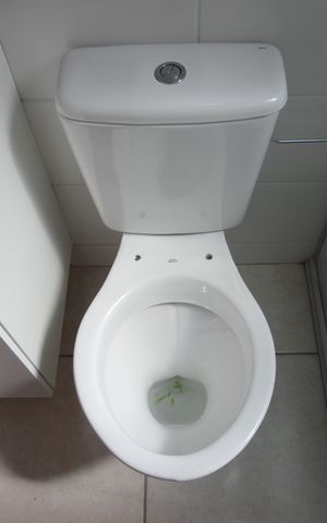Apartamento para alugar com 60m², 2 quartos e 1 vagaBanheiro da Suíte