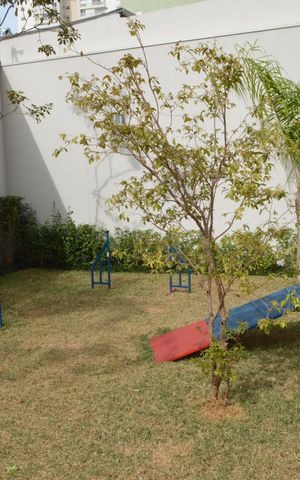 Apartamento à venda com 81m², 2 quartos e 2 vagasÁrea comum
