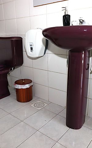 Apartamento para alugar com 150m², 2 quartos e sem vagaBanheiro da Suíte 1