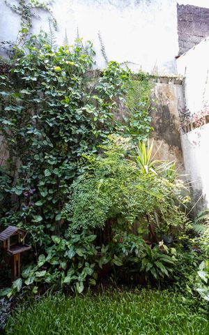 Casa à venda com 240m², 3 quartos e 4 vagasJardim