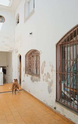 Casa à venda com 200m², 4 quartos e 2 vagasQuintal