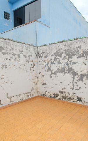 Casa à venda com 200m², 4 quartos e 2 vagasQuintal 2
