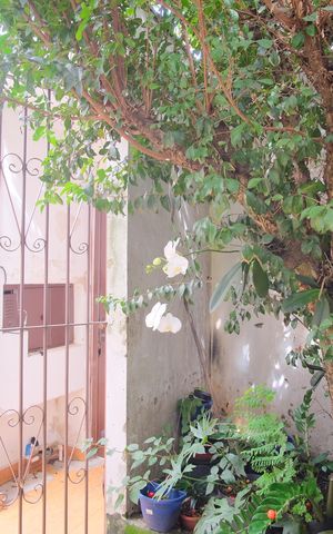 Casa à venda com 200m², 4 quartos e 2 vagasJardim