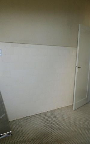 Apartamento para alugar com 54m², 2 quartos e sem vagaCozinha