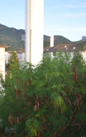 Apartamento para alugar com 44m², 2 quartos e 1 vagaVista da Sala