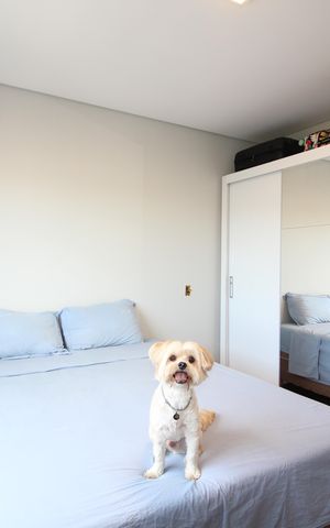 Apartamento à venda com 150m², 3 quartos e 2 vagasSuíte