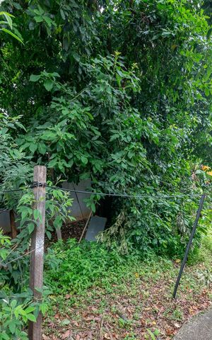 Casa à venda com 366m², 3 quartos e 1 vaga Casa à venda com 366m², 3 quartos e 1 vagaQuintal