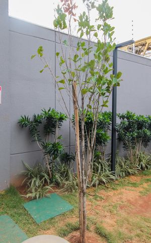 Apartamento para alugar com 55m², 2 quartos e 1 vagaÁrea comum - Playground