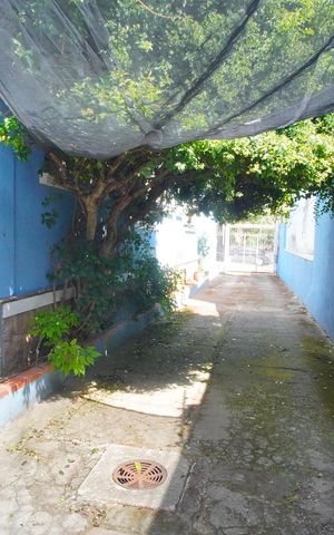 Casa à venda com 254m², 3 quartos e 10 vagasLateral da Casa