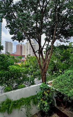 Casa de condomínio à venda com 224m², 4 quartos e 5 vagas Casa de condomínio à venda com 224m², 4 quartos e 5 vagasVista Suíte 1