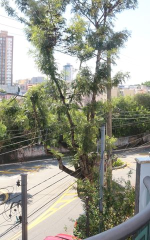 Casa à venda com 253m², 3 quartos e 5 vagasSacada
