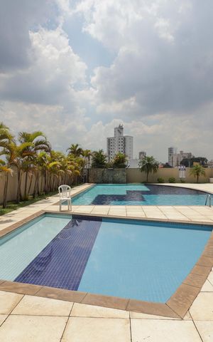 Apartamento para alugar com 75m², 3 quartos e 2 vagasPiscina