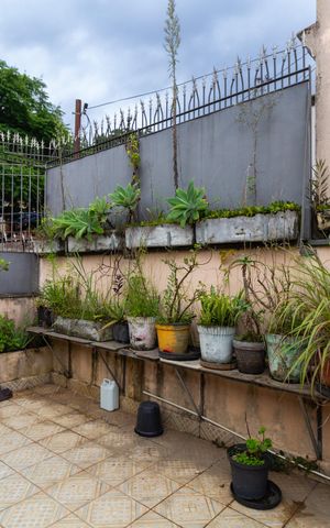 Casa à venda com 300m², 3 quartos e 3 vagas Casa à venda com 300m², 3 quartos e 3 vagasQuintal dos Fundos