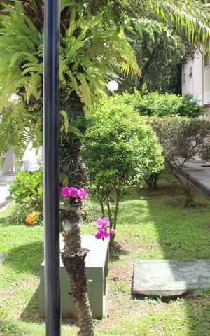 Casa de condomínio para alugar com 60m², 2 quartos e 1 vagaÁrea comum